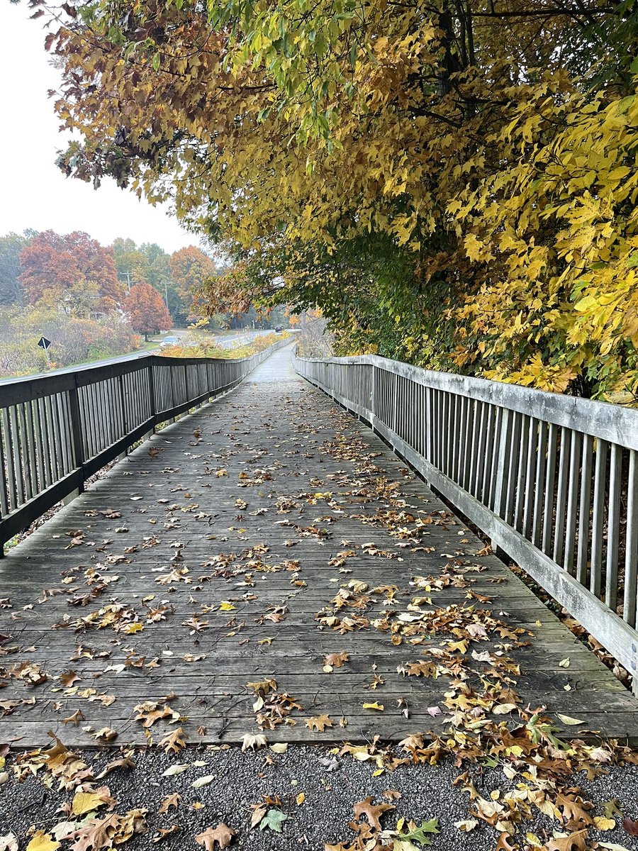 karrie_joy's tweet photo. 58° did not feel warm tonight in the wind and rain. But it’s only cold if you’re standing still…..sort of! 🥶🤣🌧️
#keeppromisestoyourself #evenintherain #chooseU #choosehappy #findyourhappyplace https://t.co/5ikLACCtff
