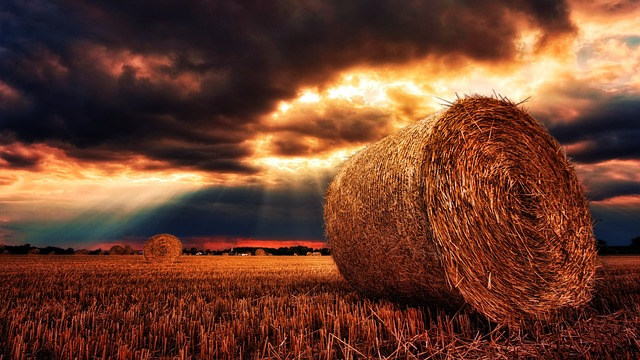 BADGERTRADES420's tweet photo. Another day of $HAY
The story continues , the community is feeling very #CULT like , #HAYISTHEWAY 
We keep stacking $HAY
When we greet people we say $HAY
@haycoinerc https://t.co/QXWDZlmjFk