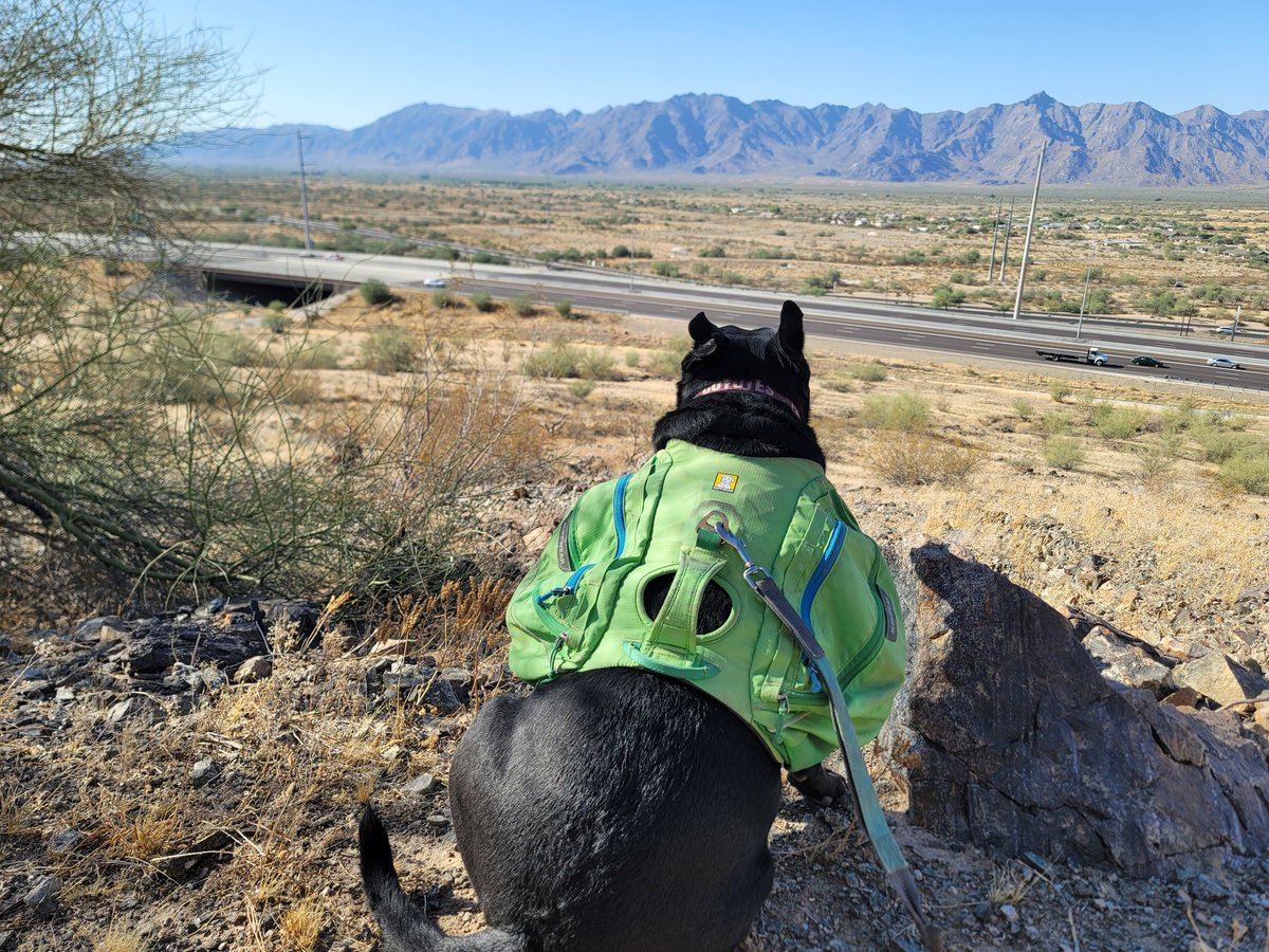 ShadowThePibble's tweet image. I goes around South Mountain's far west end of the Perimeter Trail. I sees casino dat sponsors @Dbacks