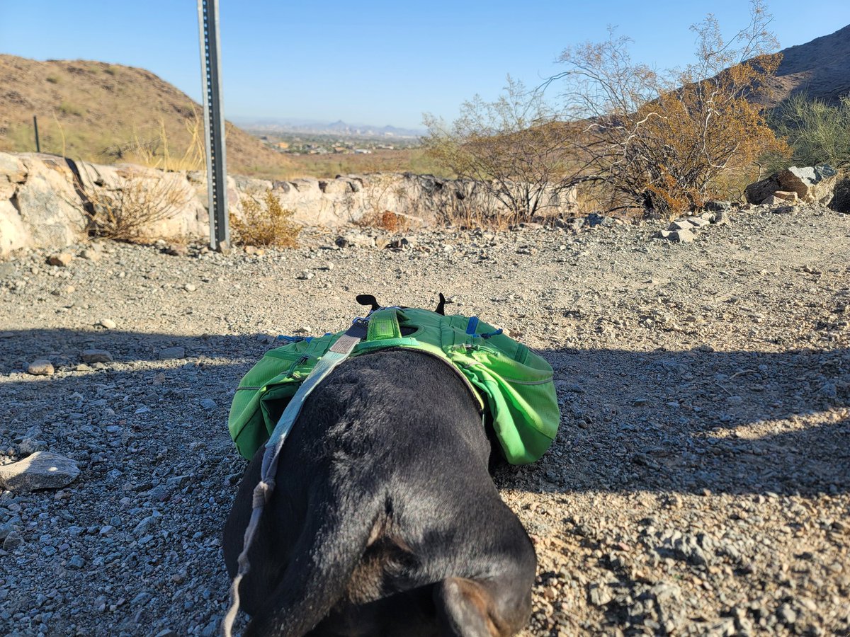 ShadowThePibble's tweet image. I goes around South Mountain's far west end of the Perimeter Trail. I sees casino dat sponsors @Dbacks