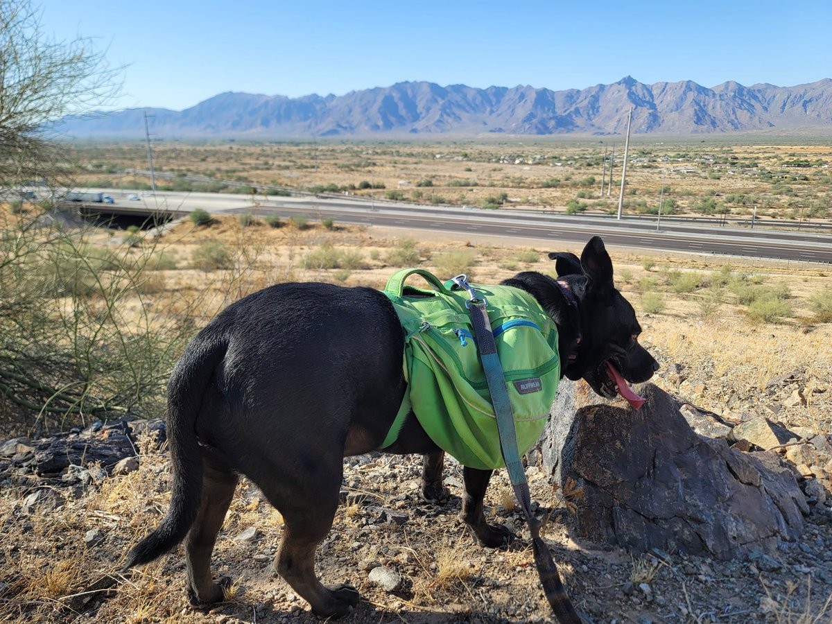 ShadowThePibble's tweet image. I goes around South Mountain's far west end of the Perimeter Trail. I sees casino dat sponsors @Dbacks