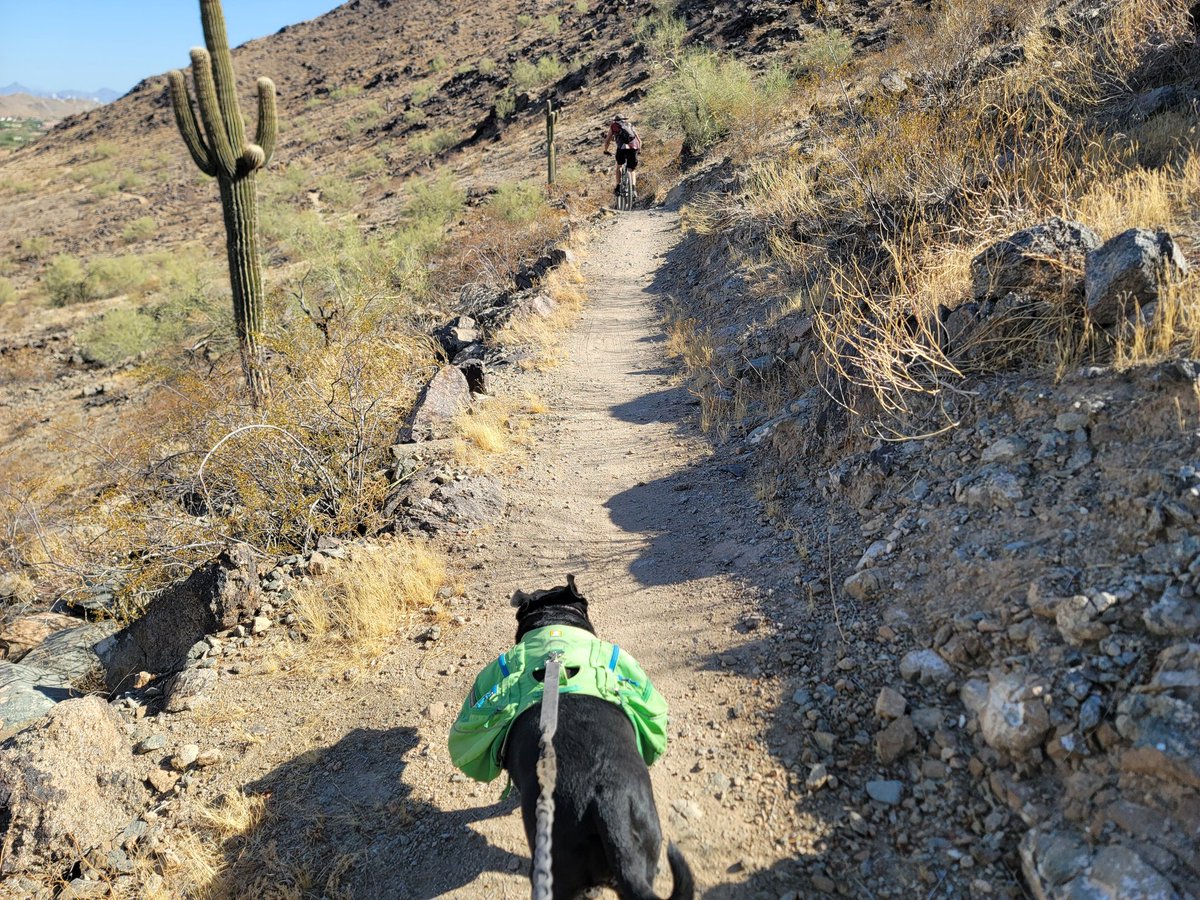 ShadowThePibble's tweet image. I goes around South Mountain's far west end of the Perimeter Trail. I sees casino dat sponsors @Dbacks