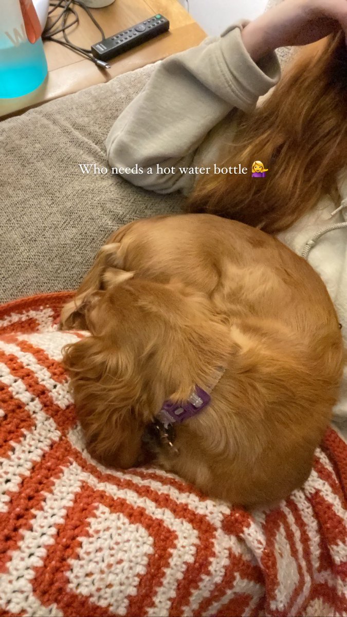 WozzaHP's tweet photo. @NoContextHumans I knew she would get me in the end https://t.co/rQQLXo9PCq