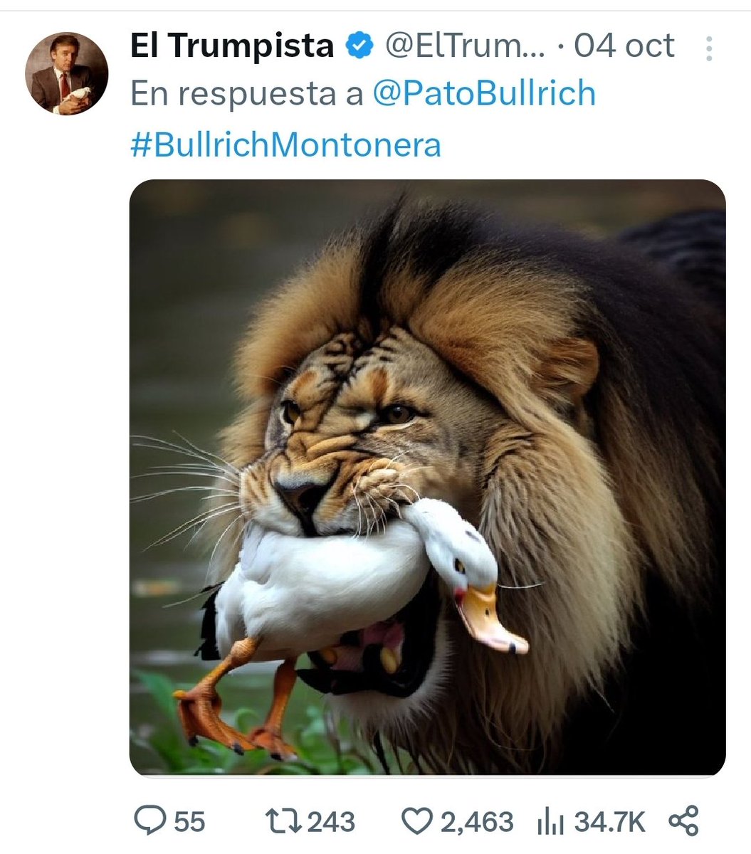 EljuShi's tweet photo. @JMilei CAPAZ LOS VOTE PERO NO ME OLVIDO https://t.co/L33PHKRO0z