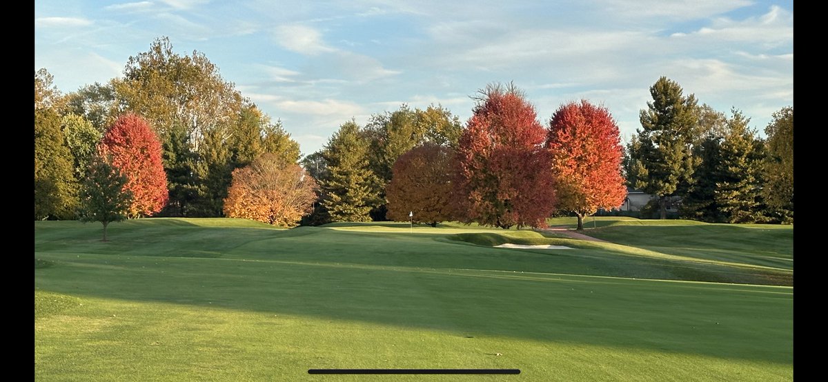 She’s looking good ⁦⁦@IHCCGreenkeeper⁩