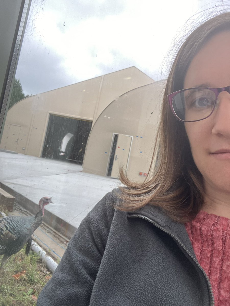 Dodson Group tweet media