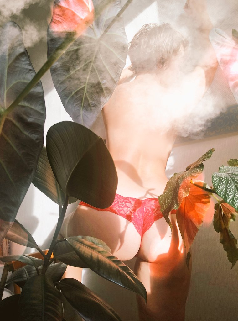 Happy Thirsty Thursday everyone 😛🔥🥵

Today we had a photoshoot in the jungle 🪴🦩🌴🪴

#WelcomeToTheJungle #WildOutHere #wilderness #steamy #photoshoot #eroticphotography #modeling #redlace #PlantsWithoutPants