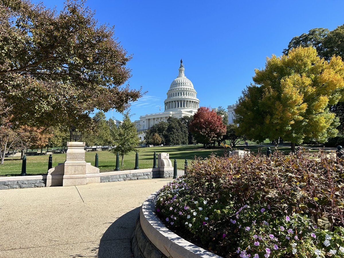 tubbsmath's tweet photo. 8th grade got to see the WWII Memorial, Vietnam Memorial, the Washington Monument, tour the Capitol Building and even more today!! #ourBMSA https://t.co/jI2x4NsrlH