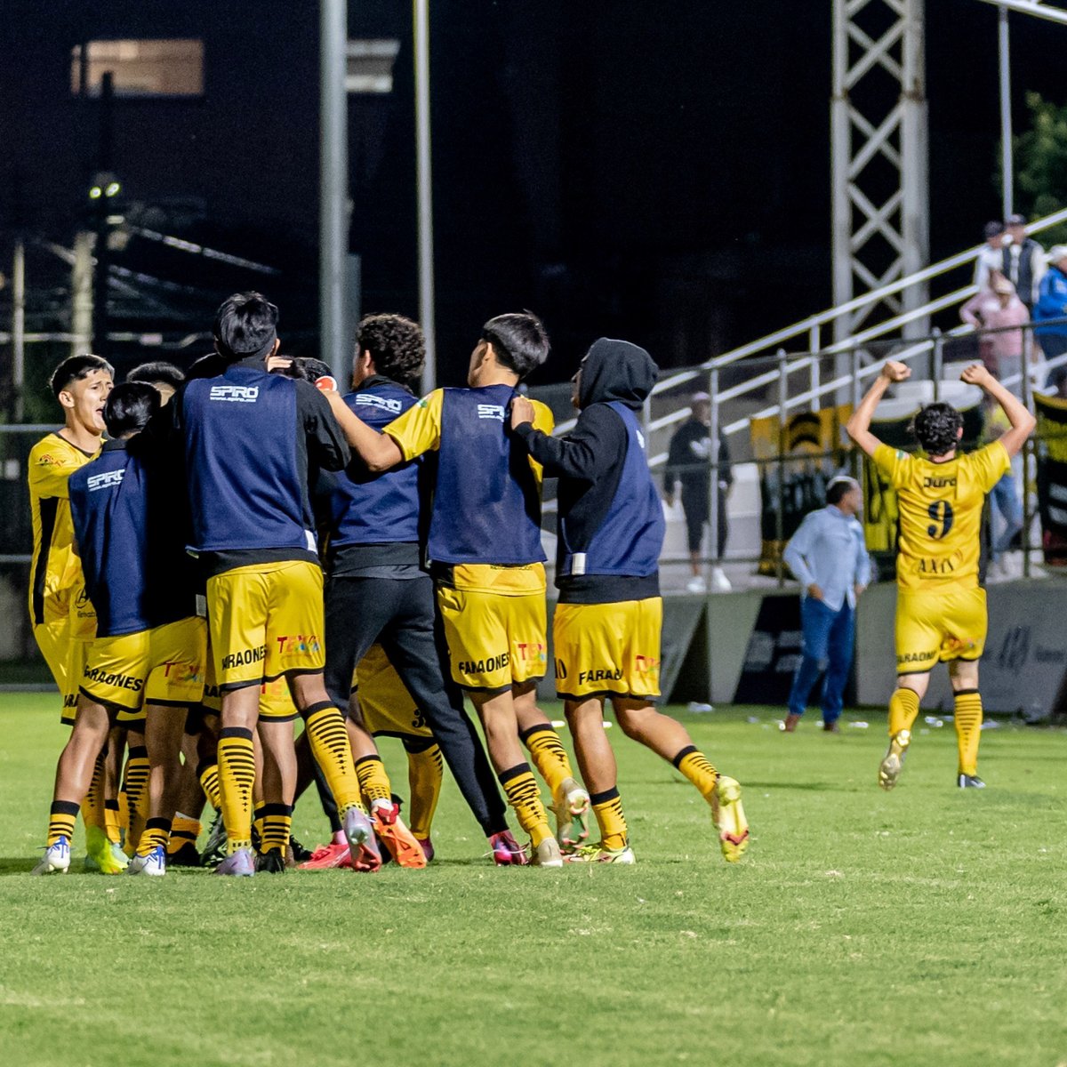 Liga TDP tweet media