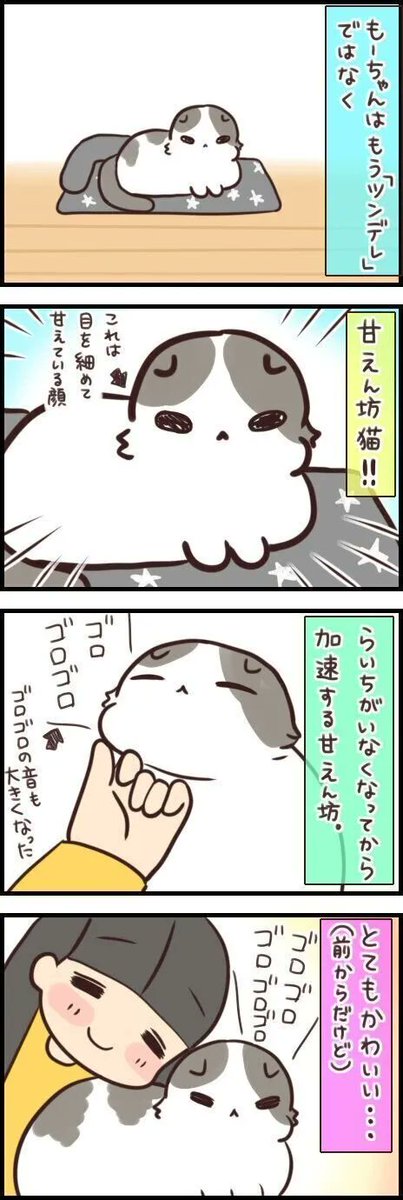 相方の子が亡くなってより甘えん坊になった猫。抱っこもしようと思ったのに…【連載】もふもふスコたん#300|ねこのきもちWEB MAGAZINE 