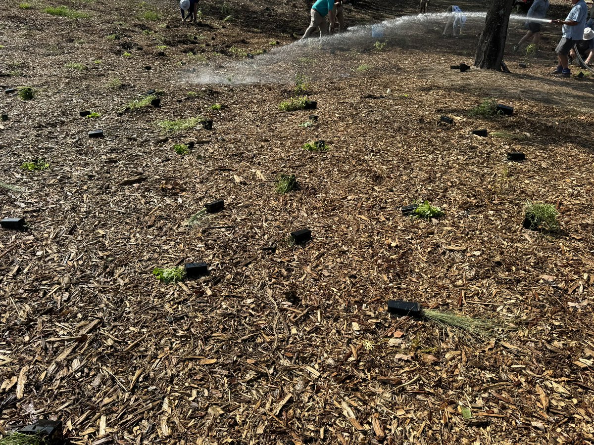 EnviroGolf's tweet photo. Thank you to the volunteers that assisted with operation pollinator planting at Indooroopilly Golf Club. 
A great effort by all, considering the conditions. 350+ plants have been planted and ready to be inhabited by pollinators. 

@SyngentaTurfANZ @TheASTMA @Golf_industry https://t.co/MXXvIoEN3O