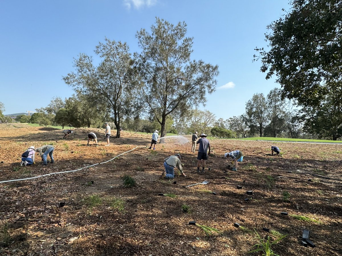 EnviroGolf's tweet photo. Thank you to the volunteers that assisted with operation pollinator planting at Indooroopilly Golf Club. 
A great effort by all, considering the conditions. 350+ plants have been planted and ready to be inhabited by pollinators. 

@SyngentaTurfANZ @TheASTMA @Golf_industry https://t.co/MXXvIoEN3O