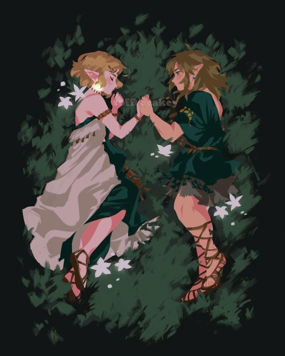 link and zelda #TearsoftheKindom 🌾
