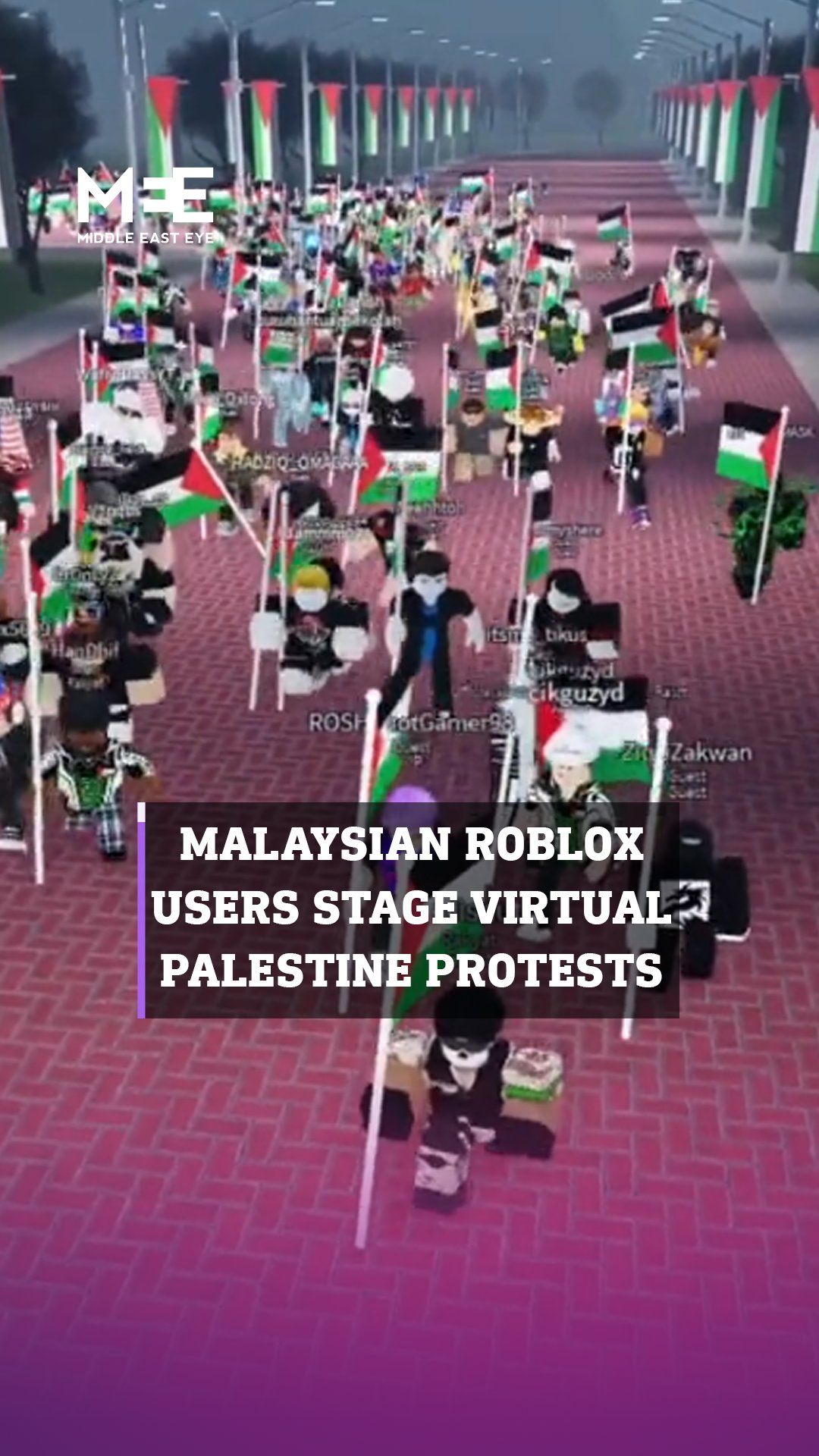 Virtual solidarity with Palestine on online platform Roblox was