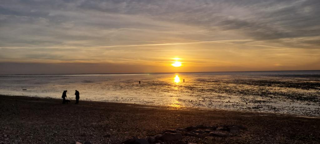 Greg Green tweet media