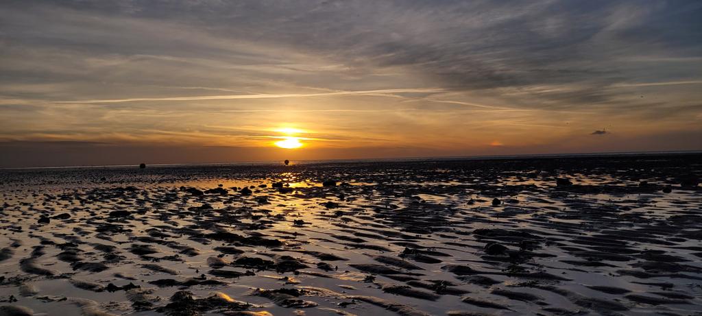 Greg Green tweet media