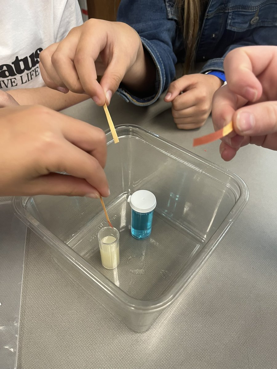 mschoenberger's tweet photo. #fifthgraders work as #environmental #engineers taking pH tests to help solve the environmental mystery in the fictional town of Greentown #STEM @MH_AllenSchool @EiE_org https://t.co/WkpgomGrhY