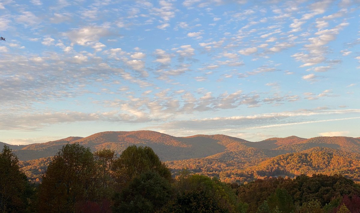 Late afternoon from the porch. #HickoryNutGap #FairviewNC #Fall