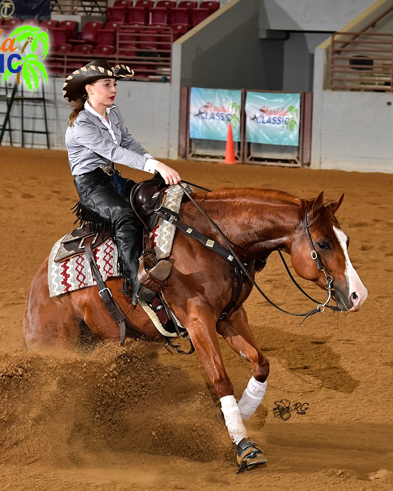 DSUEquestrian's tweet photo. ◂𝐓𝐞𝐚𝐦𝐦𝐚𝐭𝐞 𝐎𝐟 𝐓𝐡𝐞 𝐖𝐞𝐞𝐤‣  

Bailey Henderson 
📝 Freshman, Agriculture: Pre Veterinary Science  
🏠 Pasadena, Maryland  

Before getting into horses, her plan was to be a collegiate gymnast.  She competed until she had an injury which brought her into horses! https://t.co/eQ9sHf3RwF