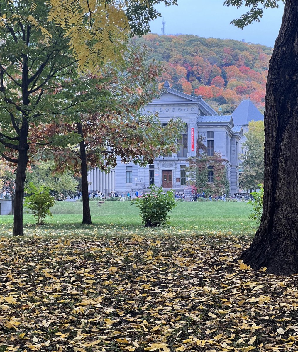 McGill University tweet media