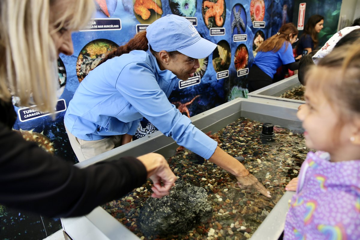 AquariumPacific's tweet photo. @HelpfulHonda helped us surprise Un Mundo de Amigos Preschool with the Aquarium on Wheels truck today! Over 100 students got to touch sea stars, anemones, sharks, and learn about ocean animals from Aquarium educators. 🐟 https://t.co/FE6xwD4Owa