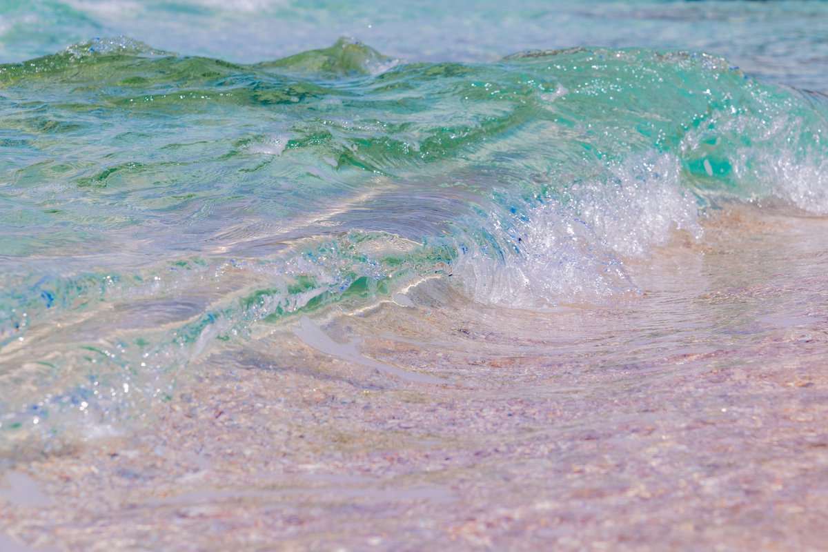 宮古ブルー

 #宮古島 #沖縄 #okinawa #miyakojima #sea #海 #japan #beach #旅行 #ocean #miyakoisland #travel #タビジョ #trip #宮古ブルー #離島 #gopro #diving #summer #沖縄旅行 #scubadiving #nature #underwaterphotography