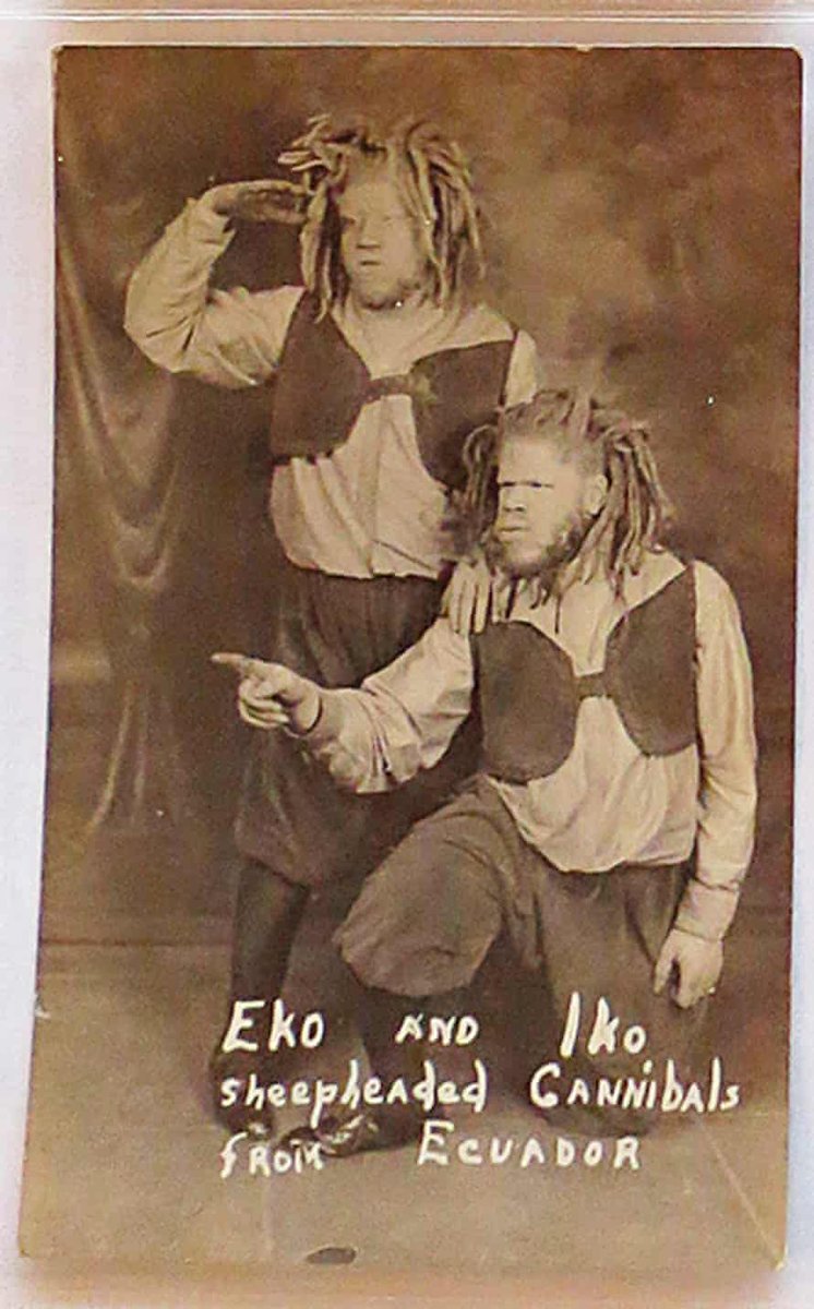 @historyinmemes American freakshow: the extraordinary tale of Truevine’s Muse brothers! Beth Macy’s bestselling book tells the story of two African American brothers with albinism who were kidnapped and forced to perform in a 1920s circus. 
The Muse brothers had been encouraged to grow their