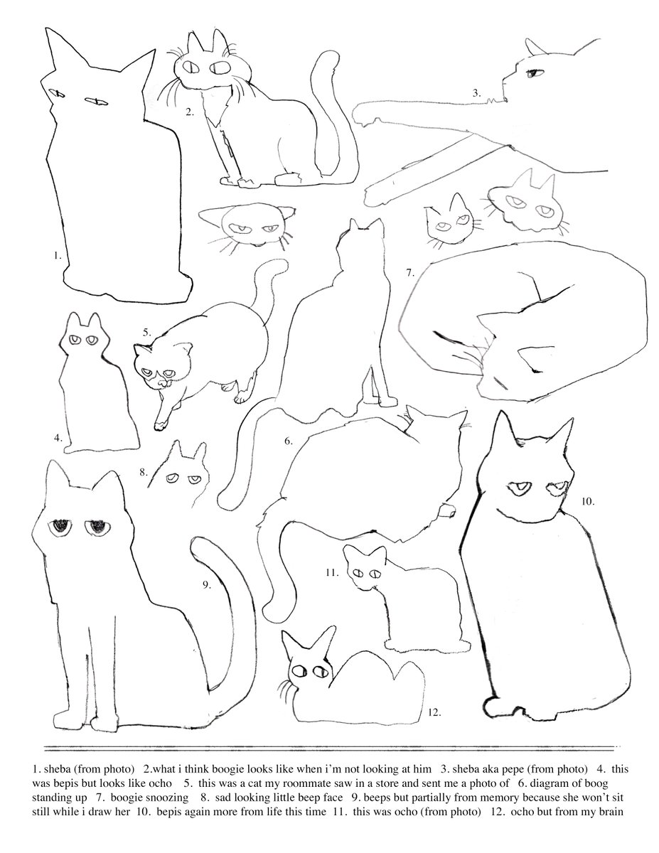 drawing lots of cats 
