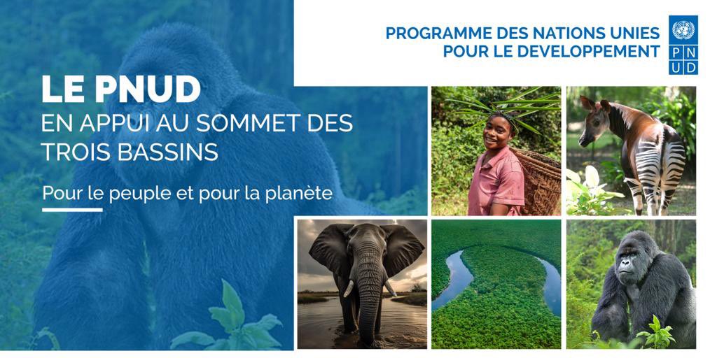 UNDPAfrica's tweet photo. La Directrice adjointe du Bureau régional  pr l’Afrique du @pnudfr, @NouraHamladji, vient d’arriver à #Brazzaville pour:
🔸participer au #Sommet3bassins, 🔸confirmer notre engagement c/ la crise climatique
🔸appuyer le Gouvernement congolais ds ses efforts pr le dév durable https://t.co/AvB9rUlve4