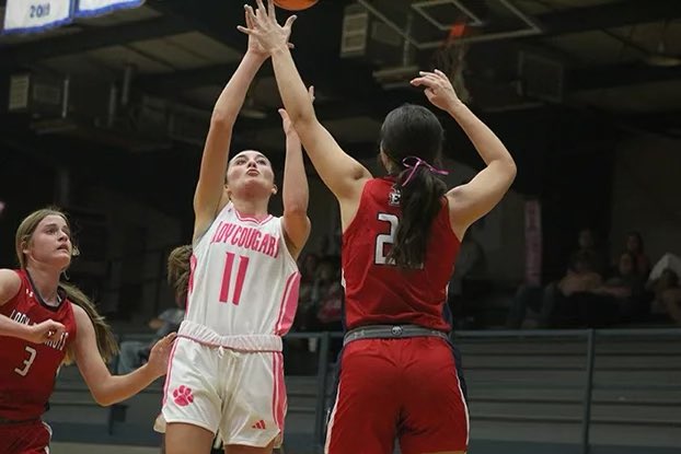 Lady Cougar Basketball tweet media