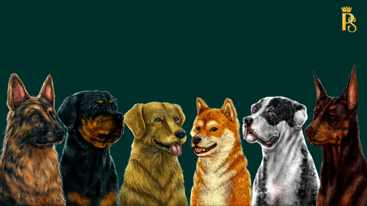 PedigreeSociety's tweet photo. With all the featured breeds created for the V.I.Pedigree collection, it's time to start working on the new concepts and traits.

Which unique traits have you always dreamt of in a collection? 💭

Let your creativity flow, and we'll choose one to be featured...

The winning suggestion will receive 1 x Pedigree Invitation AND 1 x Pedigree Society NFT.✉️🐩

#CardanoCommunity #X #ThePedigreeSociety #CNFTGiveaway