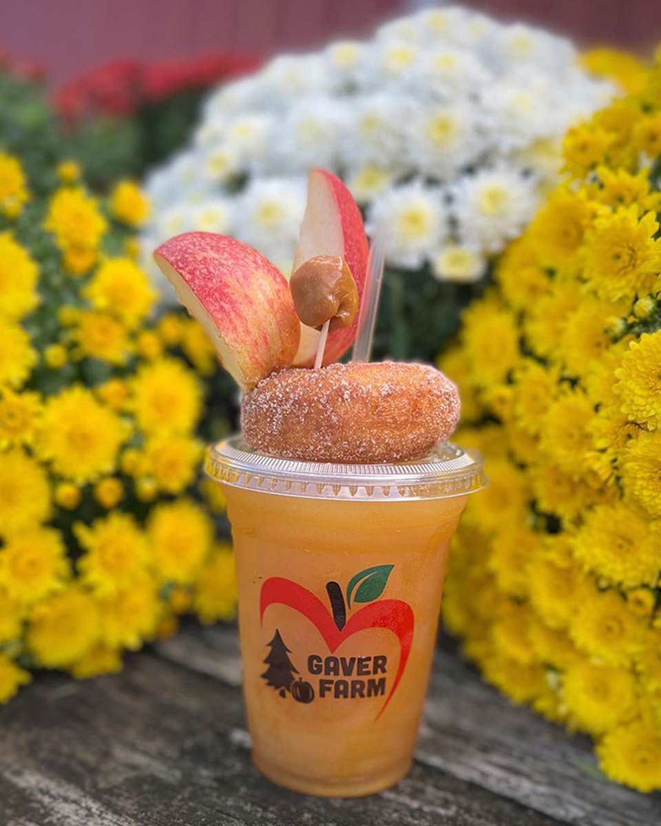 Give us everything apple right now! 🍎 What's your favorite place in Maryland to grab apple cider or an apple cider donut?