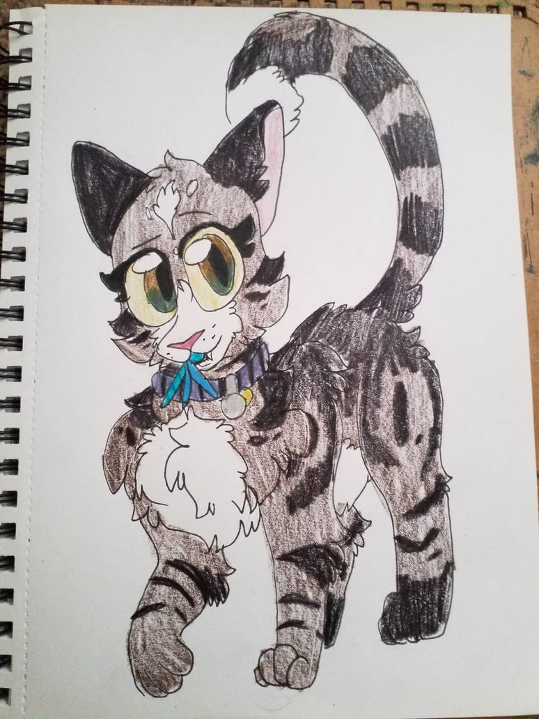 Kattren055's tweet photo. Bugeater
#warriorcats #warriorcatsbugeater #bugeater #bugeaterwarriors #bugeaterwarriorcats https://t.co/SsawpKWWZg