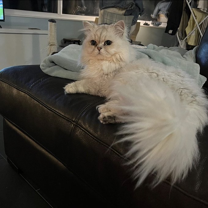 I could cry just looking at him https://t.co/lBwn0G6ZKe<a href="/tag/summerhouse"class="tags"><span>#summerhouse</span></a>