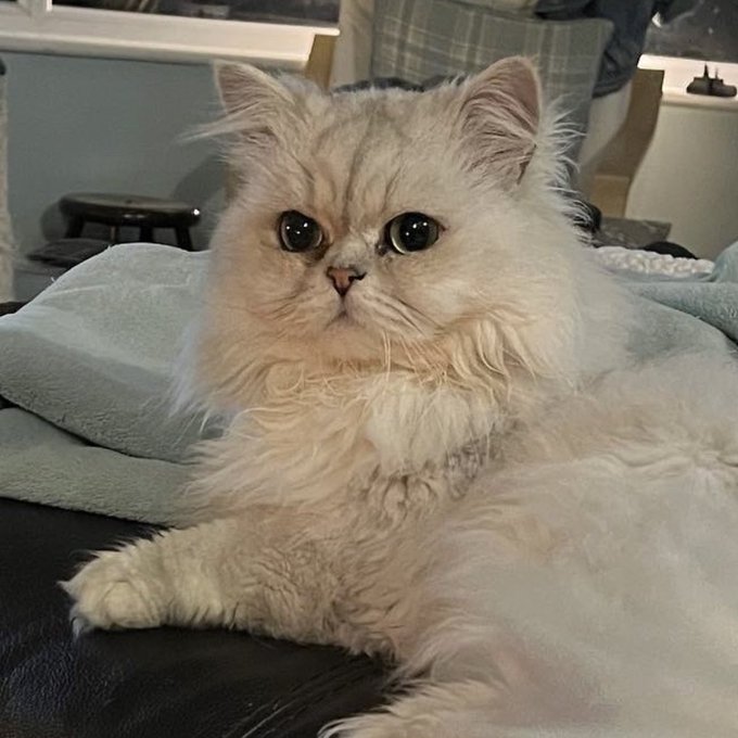 I could cry just looking at him https://t.co/lBwn0G6ZKe<a href="/tag/summerhouse"class="tags"><span>#summerhouse</span></a>