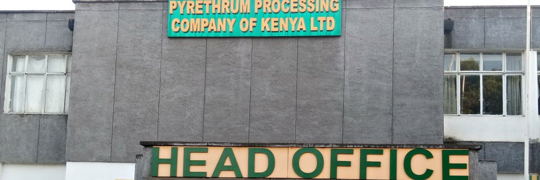 @andrew_anzaki. (@andrewanzaki) on Twitter photo Let's stop the HR of this company <a href="/PPCK_KE/">Pyrethrum Processing Company of Kenya</a> from frustrating deceased family and working against the rule of law. Heads should start rolling the MD <a href="/matilda_sakwa/">matilda sakwa</a> should be briefed about what has been going on. Call upon <a href="/UNHumanRights/">UN Human Rights</a> <a href="/DCI_Kenya/">DCI KENYA</a> <a href="/NPSOfficial_KE/">National Police Service-Kenya</a> <a href="/NPSC_KE/">National Police Service Commission - Kenya</a> Let's stop the HR of this company <a href="/PPCK_KE/">Pyrethrum Processing Company of Kenya</a> from frustrating deceased family and working against the rule of law. Heads should start rolling the MD <a href="/matilda_sakwa/">matilda sakwa</a> should be briefed about what has been going on. Call upon <a href="/UNHumanRights/">UN Human Rights</a> <a href="/DCI_Kenya/">DCI KENYA</a> <a href="/NPSOfficial_KE/">National Police Service-Kenya</a> <a href="/NPSC_KE/">National Police Service Commission - Kenya</a>