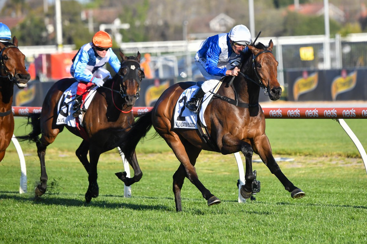 SEN_track's tweet photo. The weekend’s best bets from the top trainers.
Let the Stable Mail info find you a winner | https://t.co/4cQmpKg58S
@SENGiddyUp | #HorseRacing | #StableMail https://t.co/SQqzglYMyl
