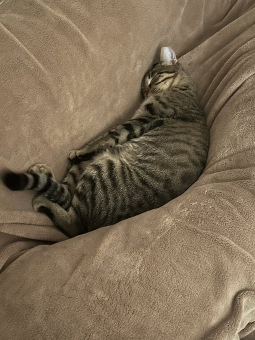 blissfully unaware of what is happening in the world ✨ https://t.co/bL58Vg0fUr