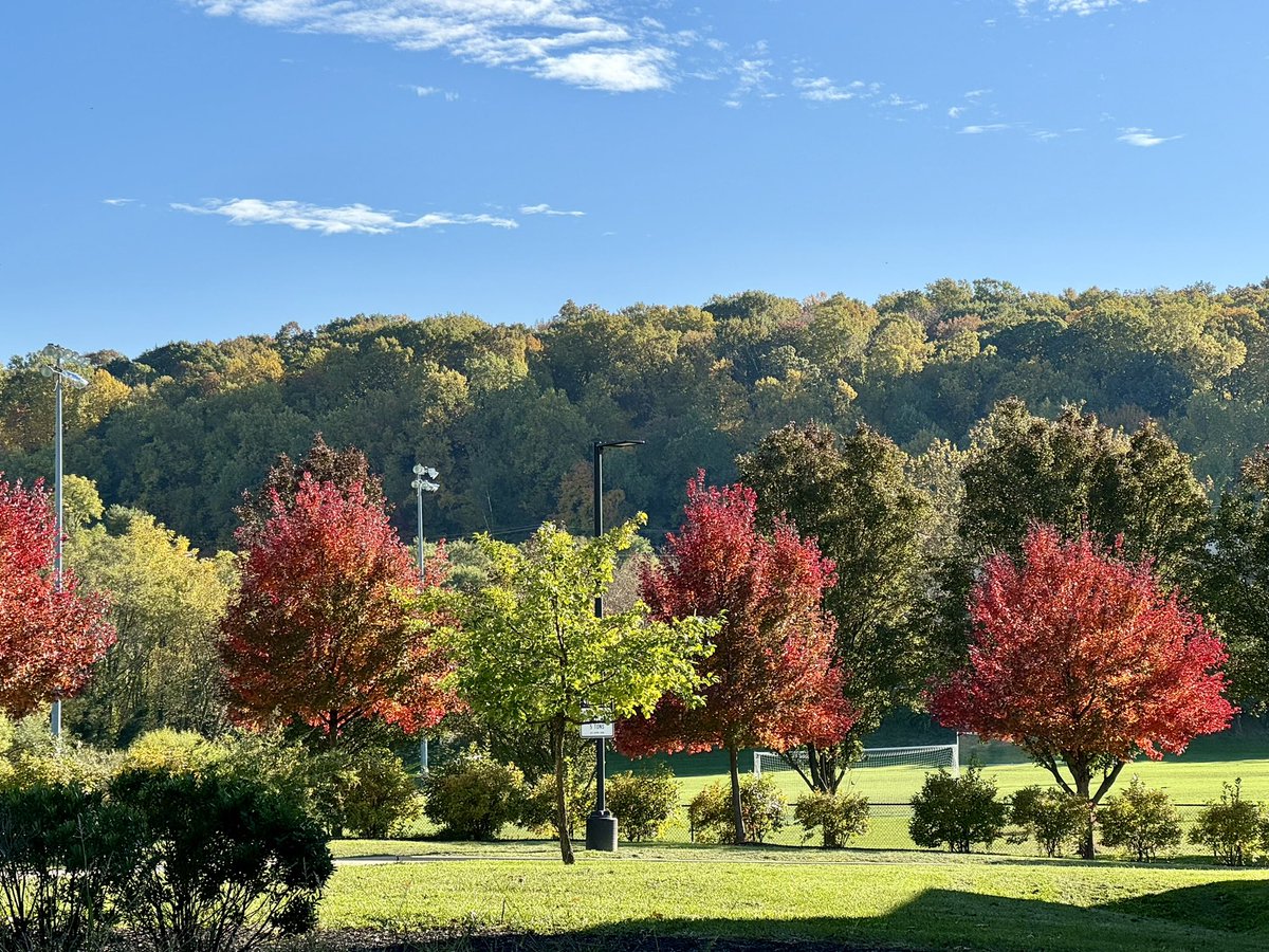 My view during bus duty this afternoon 🤩🍁! <a href="/GulphPTC/">GulphPTC</a> <a href="/GulphPBIS/">Gulph PBIS</a> <a href="/gulphedugator/">Mr.Dickerson</a>