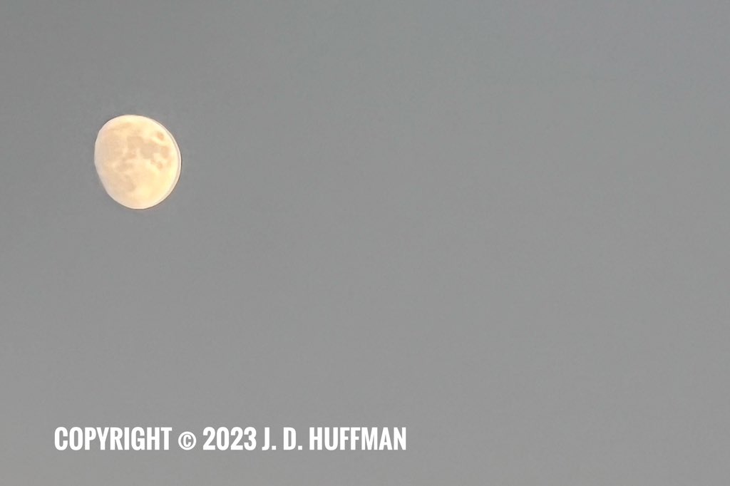 ProAlertWeather's tweet image. Photo of the #Moon in Gastonia, NC on Wednesday evening (10/25/2023). Photo courtesy of J. D. Huffman (@JDHuffmanPAW).

#NCWX #CLTWX #JDHuffmanPAW #PAWFall23 #ProAlertWeather
