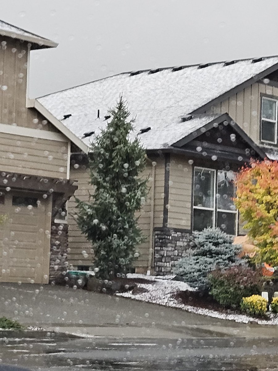 Goducks2003's tweet photo. Hail here in #Felida https://t.co/jCtoTNbGko