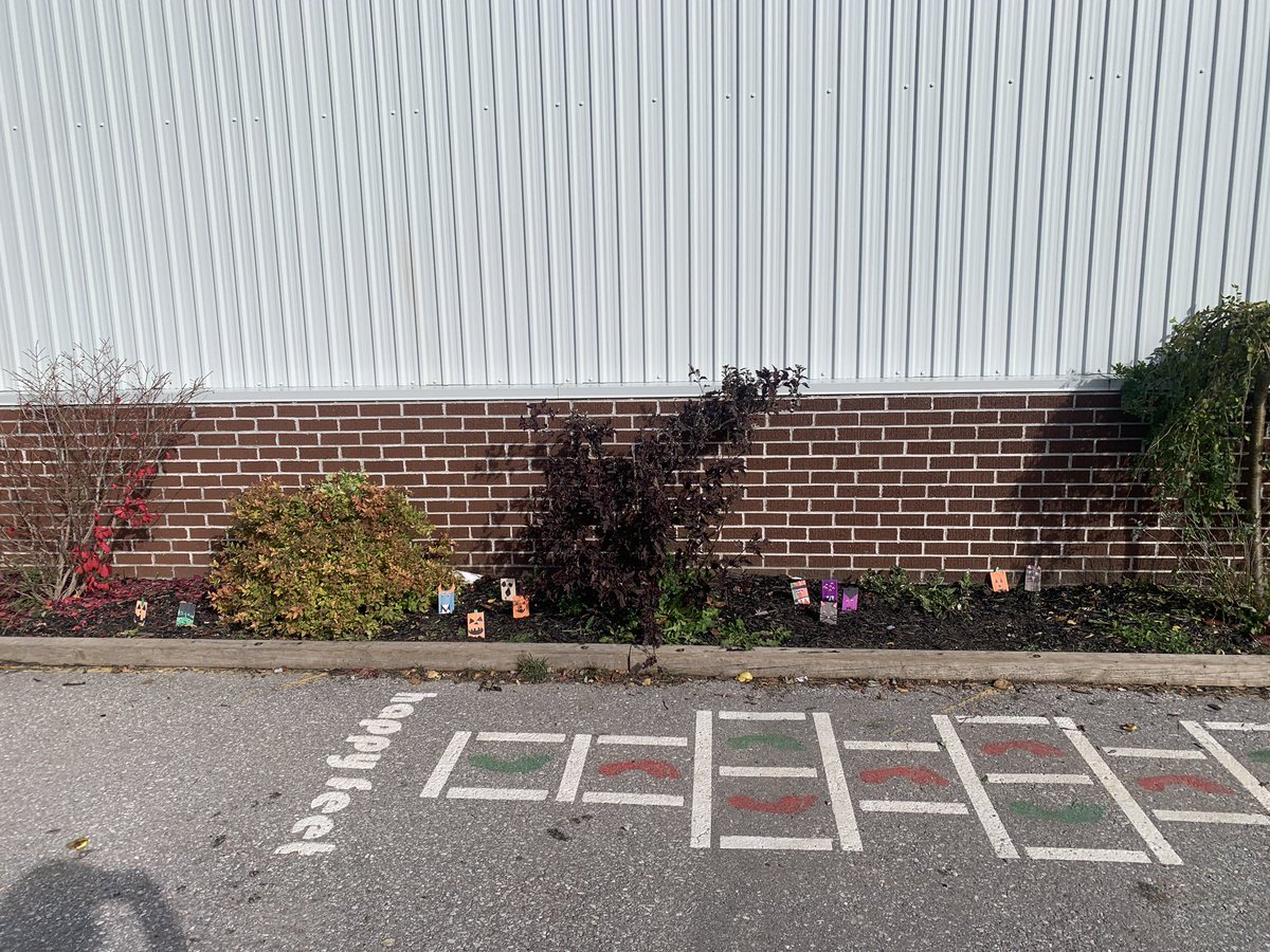 PE’s Library Learning Commons tweet media