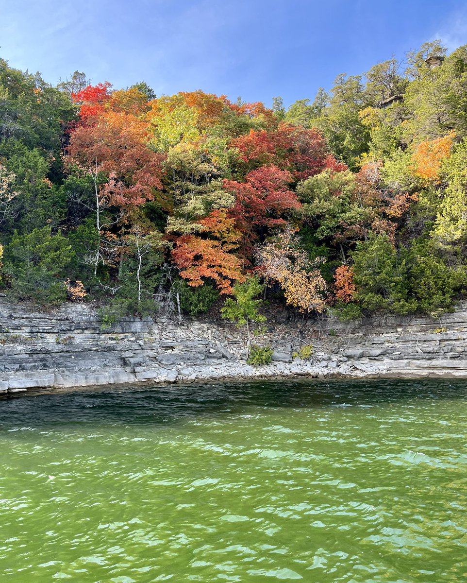 itsLAKE30's tweet image. Fall colors🍁⚓️
#lake30 

#fallcolors #fallboating #scenic #tablerocklake #ozarks