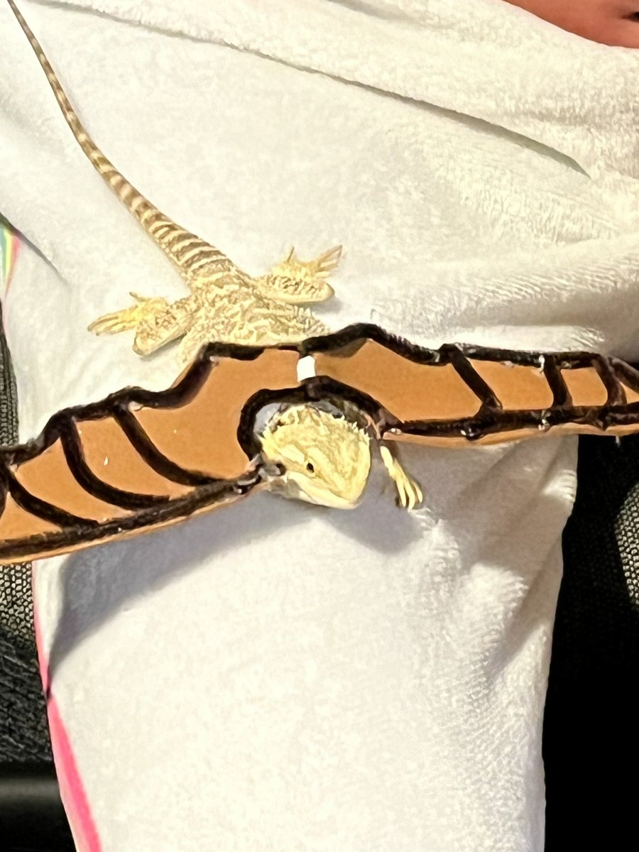 HCBroncoXCTF's tweet photo. HC T&amp;F athlete Brady Creech and his Bearded Dragon Drago handing out candy at First United Methodist Church’s Trunk or Treat event. https://t.co/fn68mleZ0F