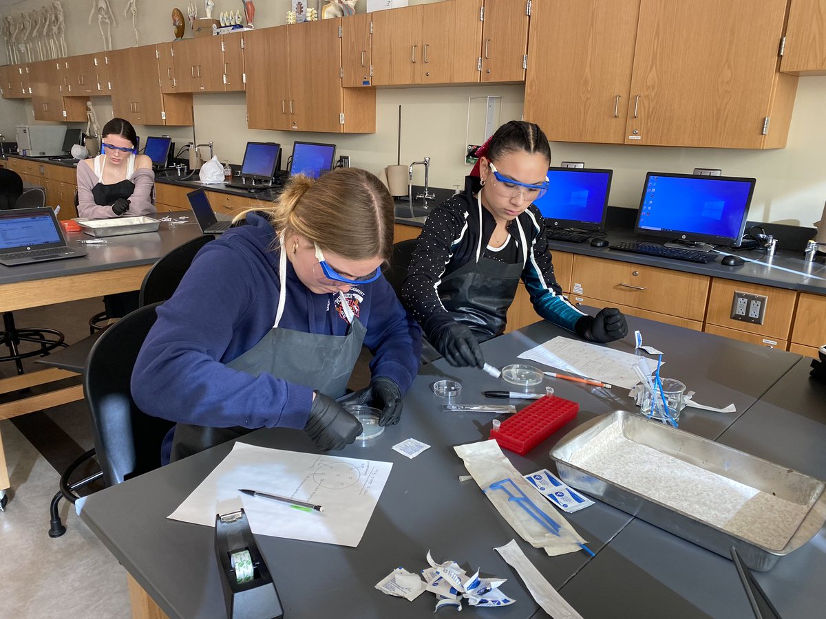 MsdennFei's tweet photo. PSHS MI Ss studying antibiotic sensitivity @plymouthsouth @PPS_Science  @PlymouthSch @PLTWorg  @one8alhub #biomed #learningisfun #learningbydoing https://t.co/v7GOd89IaY