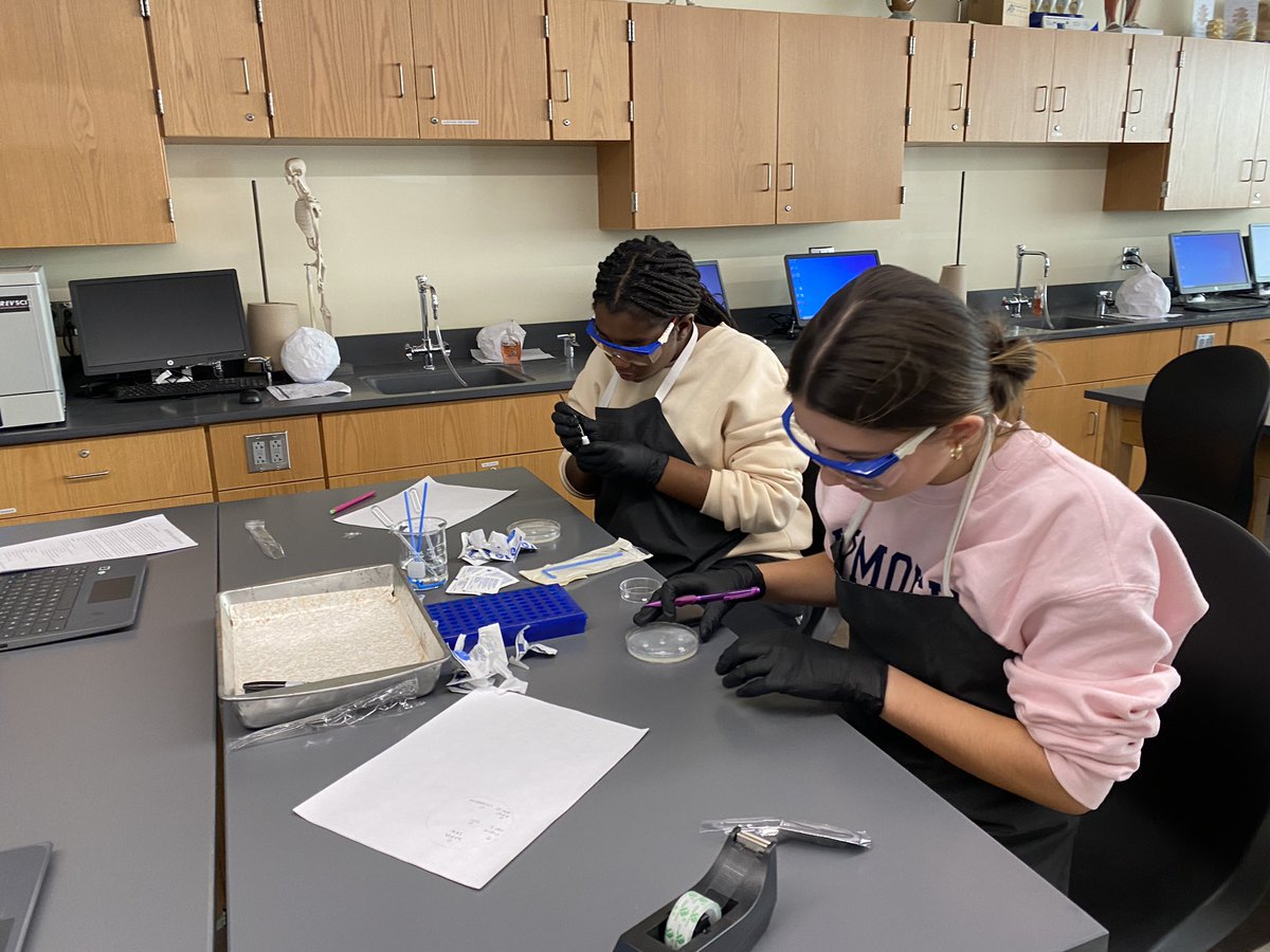 MsdennFei's tweet photo. PSHS MI Ss studying antibiotic sensitivity @plymouthsouth @PPS_Science  @PlymouthSch @PLTWorg  @one8alhub #biomed #learningisfun #learningbydoing https://t.co/v7GOd89IaY
