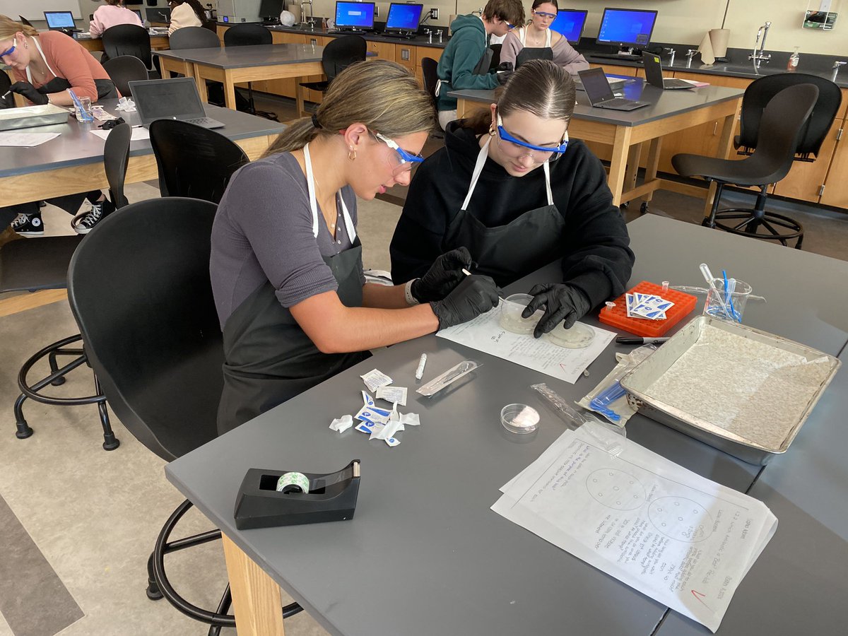MsdennFei's tweet photo. PSHS MI Ss studying antibiotic sensitivity @plymouthsouth @PPS_Science  @PlymouthSch @PLTWorg  @one8alhub #biomed #learningisfun #learningbydoing https://t.co/v7GOd89IaY