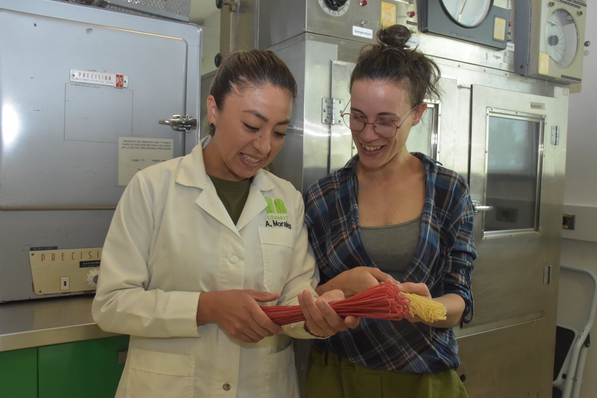 Happy #WorldPastaDay to all pasta lovers! 🍝 Now working @CIMMYT on improving our pasta evaluation method to help us select high-quality elite durum wheat lines.