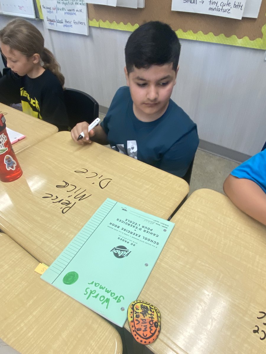 Love to see teachers and students bringing in the Phonics Friday facts into their learning.