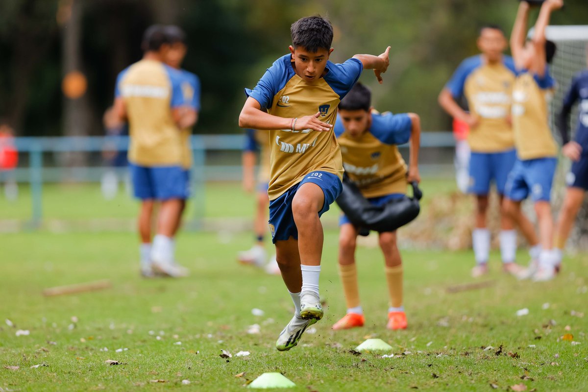 PumasMXCantera's tweet image. #SUB13 
Trabajo y esfuerzo 🐾

#DePumasSoy #DeCanteraSomos